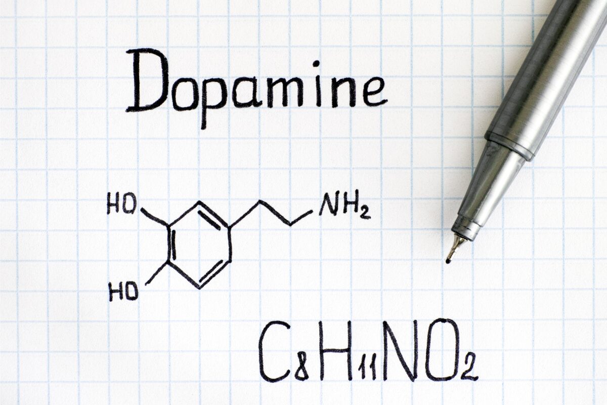 Indulging in food cravings tap into the "feel-good" centers of the brain, also known as dopamine.